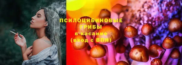 mix Алексин