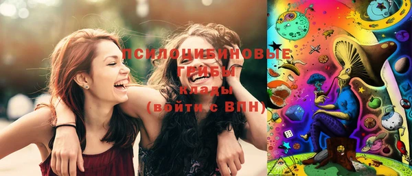 прущие грибы Алексеевка