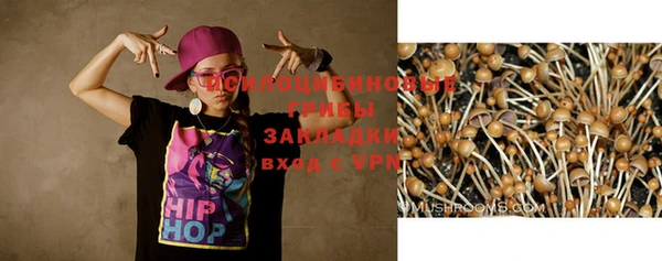 mix Алексин