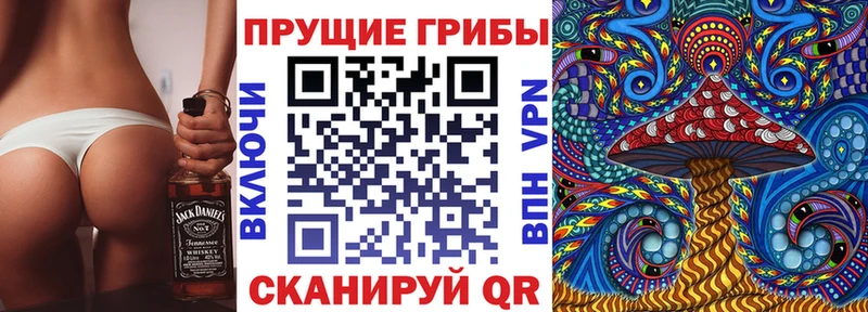 Псилоцибиновые грибы Cubensis  дарк нет официальный сайт  Жирновск 